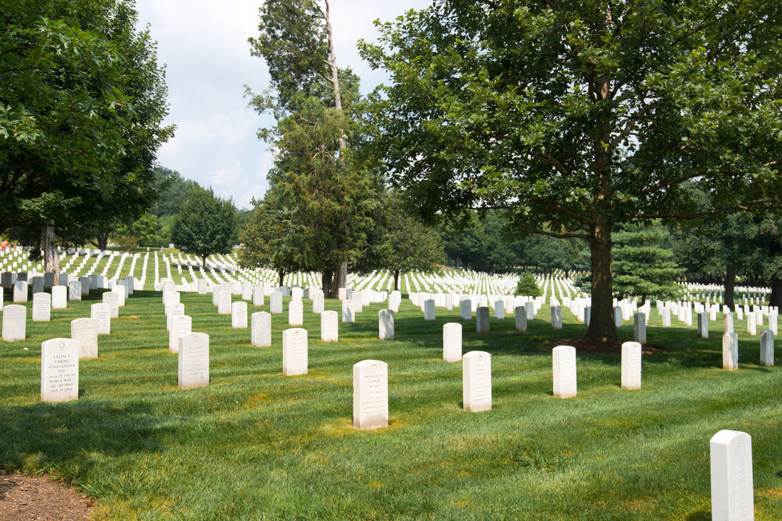 Cost of Burial Plots in the US: Prices, Location and Affordable Alternatives