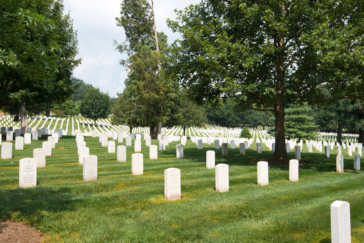 Cost of Burial Plots in the US
