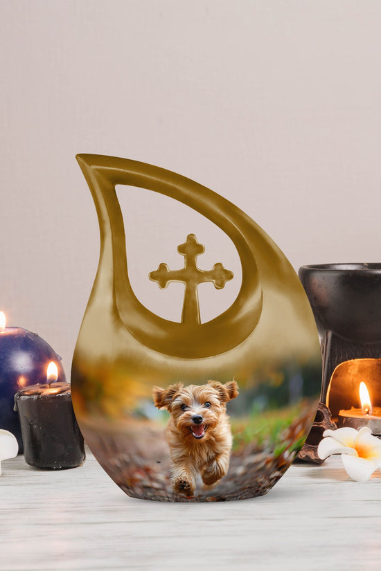 Dog Urns For Ashes - Small Urn For Ashes Adult Male