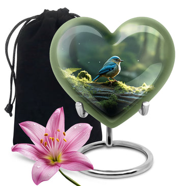 Heart