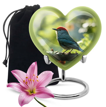 Heart