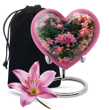 Heart