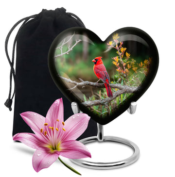 Heart