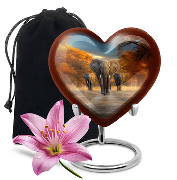 Heart