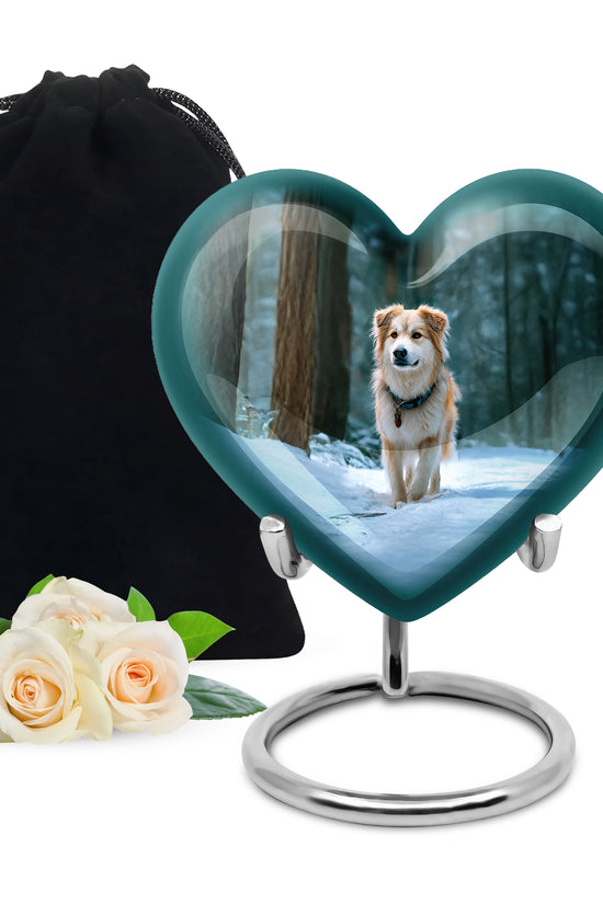 Border Collie Themed Urn - Decorative Funeral Urns For Dog Ashes