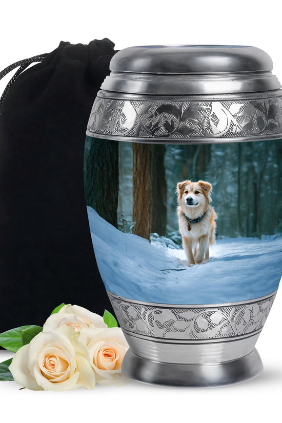 Border Collie Themed Urn - Decorative Funeral Urns For Dog Ashes